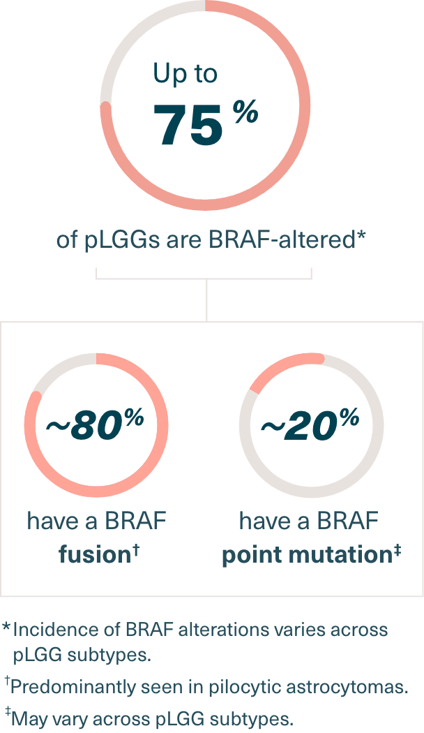 Infographics of pie chart percentages of pLGGs with BRAF fusions and mutations. Up to 75% of pLGGs are BRAF-altered. Incidence of BRAF alterations varies across pLGG subtypes. Of those with a BRAF alteration, nearly 80% have a BRAF fusion, predominantly seen in pilocytic astrocytomas. Nearly 20% have a BRAF point mutation. These may vary across subtypes.