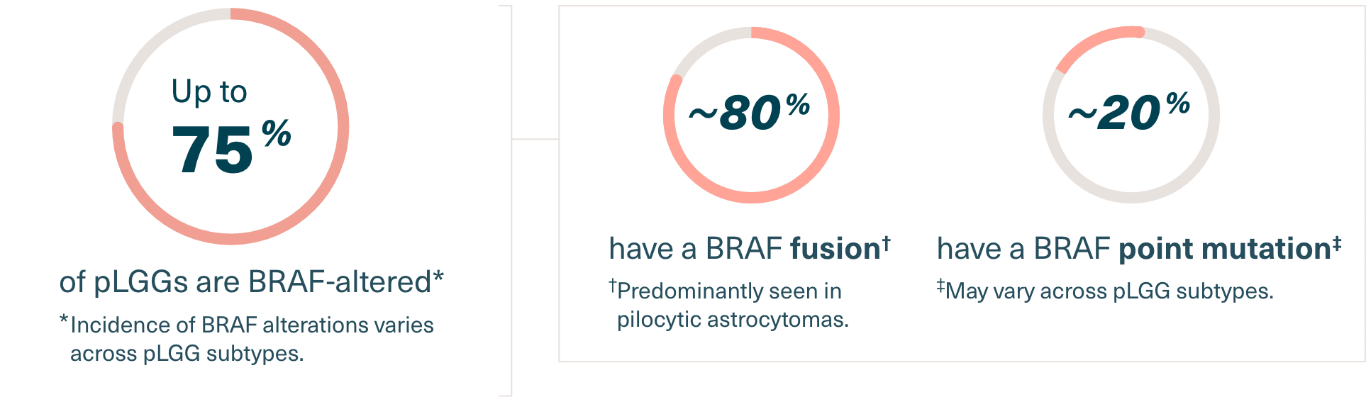 Infographics of pie chart percentages of pLGGs with BRAF fusions and mutations. Up to 75% of pLGGs are BRAF-altered. Incidence of BRAF alterations varies across pLGG subtypes. Of those with a BRAF alteration, nearly 80% have a BRAF fusion, predominantly seen in pilocytic astrocytomas. Nearly 20% have a BRAF point mutation. These may vary across subtypes.